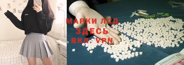 ECSTASY Алзамай