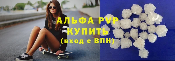 ECSTASY Алзамай