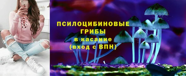 apvp Алексеевка