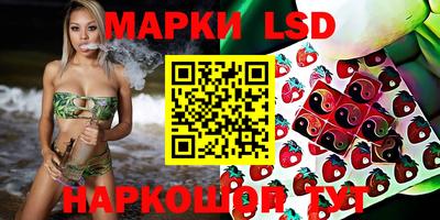 прущие грибы Канаш