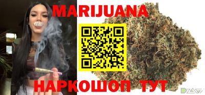 прущие грибы Канаш