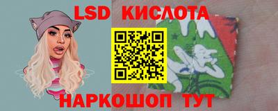 прущие грибы Канаш