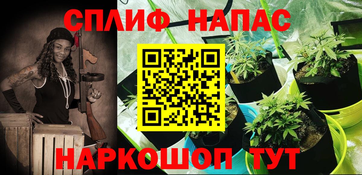 Бошки Шишки марихуана  Марихуана план  МАРИХУАНА Bruce Banner  Бошки марихуана планчик  Вход с VPN  Симферополь 